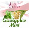 Flavor :  Eucalyptus Mint by Liquid Labor