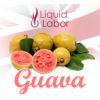 Flavor :  Guava by Liquid Labor