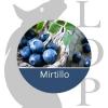 Flavor :  Mirtillo by Lop