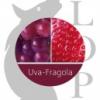 Flavor :  Uva Fragola by Lop