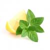Flavor :  Citron Menthe by Lor Liquide