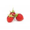 Flavor :  Fraise Des Bois by Lor Liquide