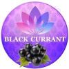 Flavor :  Black Currant par LOTUS FLAVORS