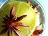 Flavor :  Citron Anis by Magic Elixirs