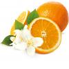 Flavor :  Fleur Oranger by Magic Elixirs