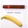 Flavor :  Habana Banana by Magic Elixirs