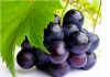 Flavor :  Raisin by Magic Elixirs