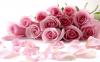Flavor :  Rose by Magic Elixirs