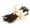 Flavor :  Vanille Bourbon par MAGIC ELIXIRS