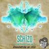 Flavor :  Schizo by Mecanique des fluides
