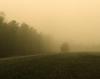 Arôme : Tobacco Haze
Dernière mise à jour le : 30-04-2018 Arôme : Tobacco Haze
Dernière mise à jour le : 30-04-2018