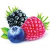 Flavor :  Forest Fruit by Monster Flavours