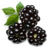 Flavor :  Blackberry par MT BAKER VAPOR