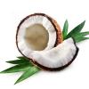 Flavor :  Coconut par MT BAKER VAPOR