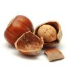 Flavor :  Hazelnut by Mt Baker Vapor