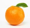 Flavor :  Orange by Mt Baker Vapor