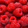 Flavor :  Raspberry by Mt Baker Vapor