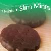 Flavor :  Slim Mints by Mt Baker Vapor