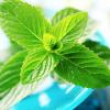 Flavor :  Spearmint par MT BAKER VAPOR