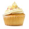 Flavor :  Vanilla Cup Cake by Mt Baker Vapor