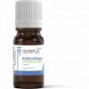 Flavor :  Kaktusfeige by my-eLiquid
