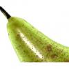 Flavor :  Birne by My-Liquid