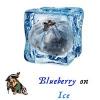 Flavor :  Blueberry On Ice by My Juice by Copsa