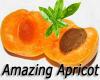 Flavor :  Amazing Apricot by MyVapeJuice