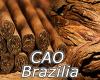 Flavor :  Cao Brazilia by MyVapeJuice