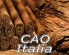 Flavor :  Cao Italia by MyVapeJuice