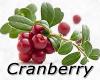 Flavor :  Cranberry by MyVapeJuice