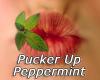 Flavor :  Pucker Up Peppermint by MyVapeJuice