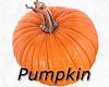 Flavor :  Pumpkin by MyVapeJuice