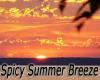 Flavor :  Spicy Summer Breeze by MyVapeJuice