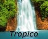 Flavor :  Tropico par MYVAPEJUICE