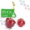Flavor :  Cerise by MYX