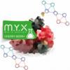 Flavor :  Fruits Rouges by MYX