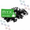 Flavor :  Reglisse by MYX