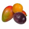 Flavor :  Orange Mango Passion by Natures Flavors