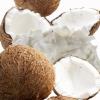 Flavor :  Organic Coconut Cream by Natures Flavors