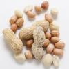 Flavor :  Organic Nutty by Natures Flavors