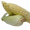 Flavor :  Organic Sweet Corn by Natures Flavors