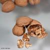 Flavor :  Walnut by Natures Flavors