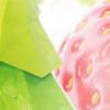 Flavor :  Eine Erdbeere Aus Dem Wald by Nexus Liquids