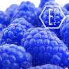 Flavor :  Blue Raz by NicVape