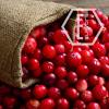 Flavor :  Cranberry by NicVape