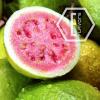 Flavor :  Guava by NicVape