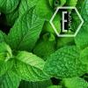 Flavor :  Menthol by NicVape