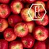 Flavor :  Red Apple by NicVape