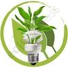 Flavor :  Green Energy by Northwest VG Flavors